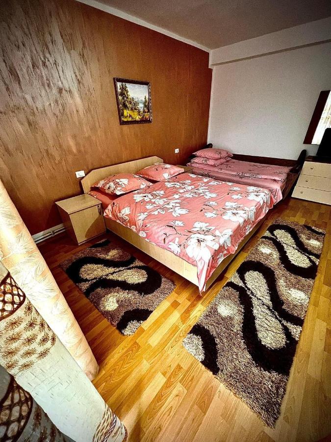 Casa Viorica Hotel Statjunea Borsa Ngoại thất bức ảnh